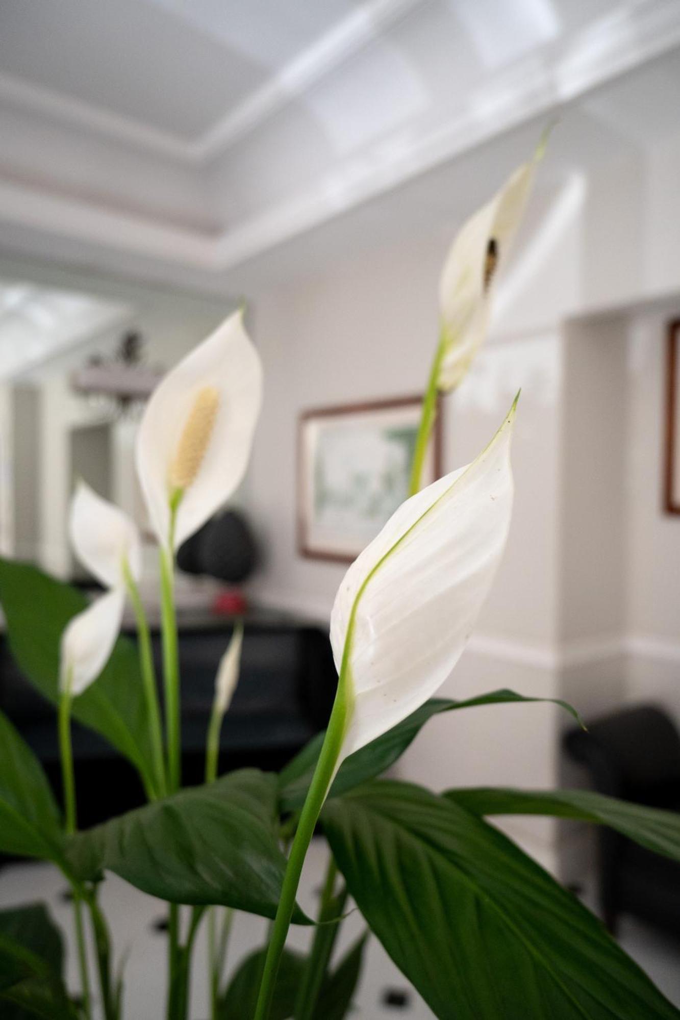 Ludovisi Palace Hotel Roma Ngoại thất bức ảnh